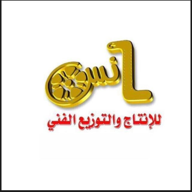 مؤسسة فن أنس للانتاج المرئي 